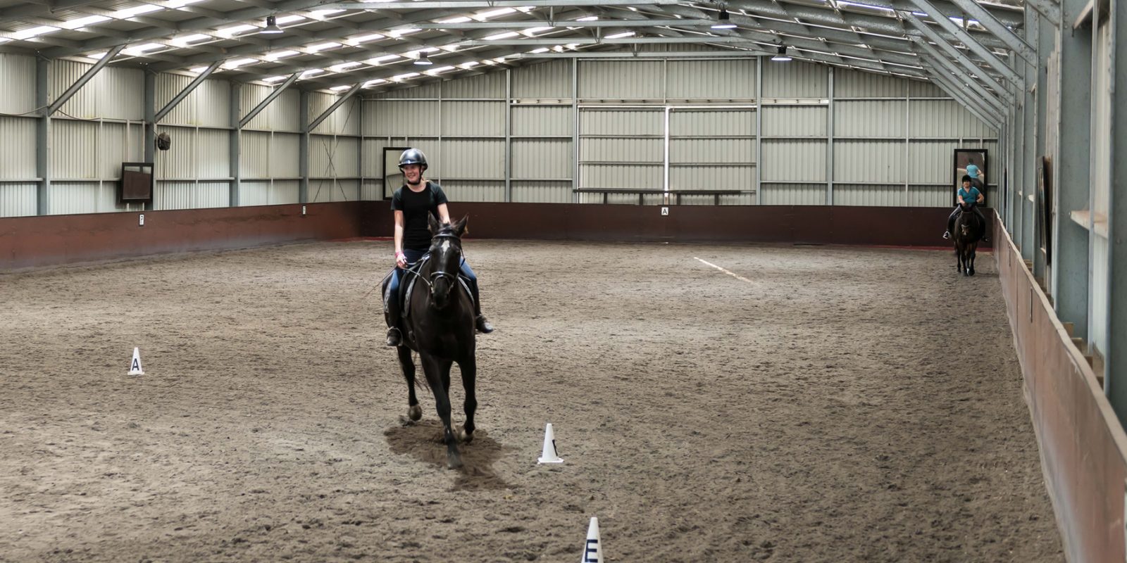 Ashford Park Horse Agistment Premium Horse Agistment Melbourne