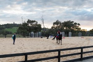 3 - Outdoor Arena