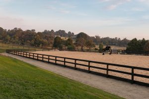 2 - Outdoor Arena with Jumps storage