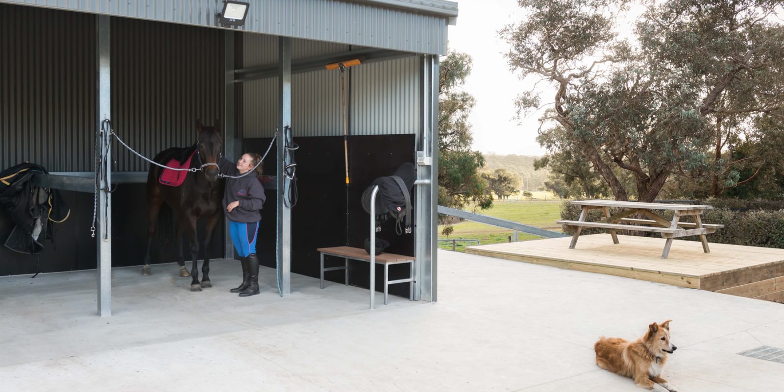 Ashford Park Horse Agistment Premium Horse Agistment Melbourne