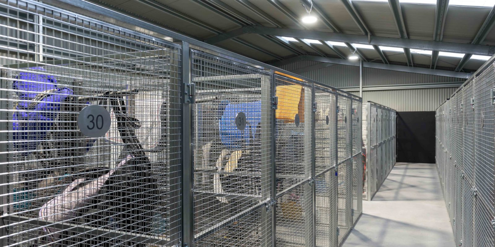 Ashford Park Horse Agistment Premium Horse Agistment Melbourne