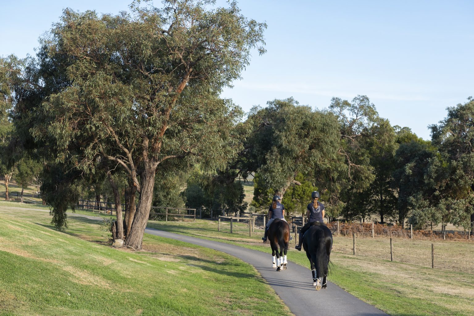 Facilities Ashford Park Horse Agistment